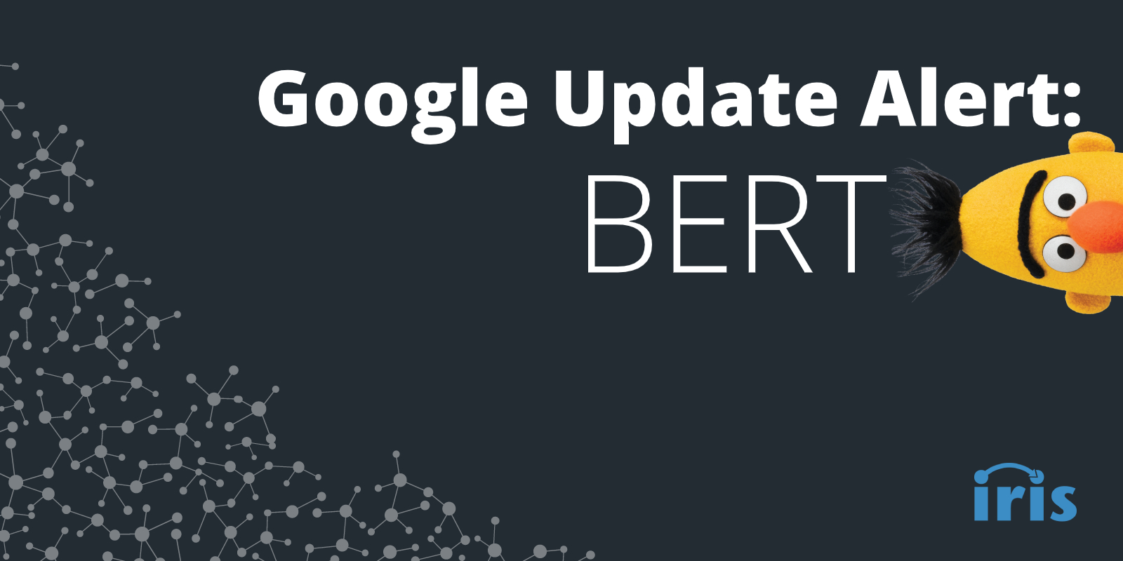 Google BERT Update